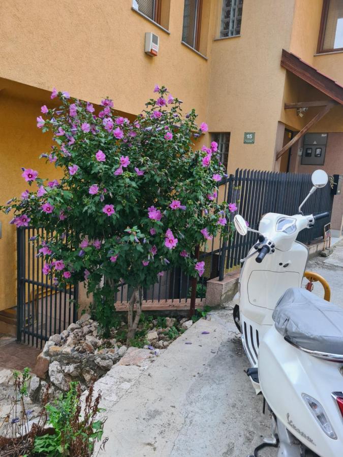 Apartman Yellow House SJJ Esterno foto